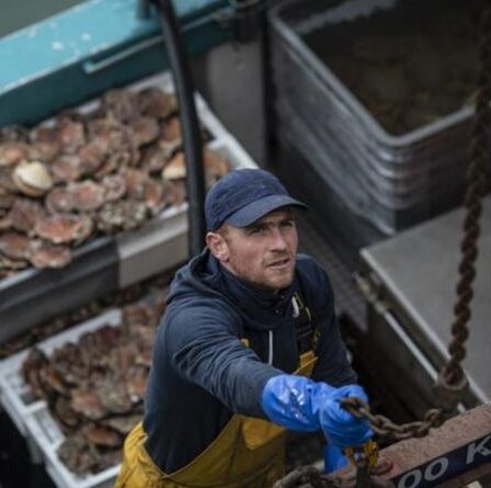 Brexit: les pêcheurs de Jersey dévoilent une résolution contre le violent refoulement français "C'était tout ce qu'ils avaient"