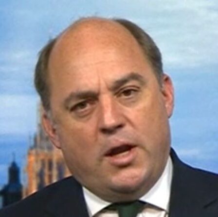 "Ça va devenir plus volatile" Wallace met en garde contre de nouvelles attaques alors que l'évacuation afghane se termine