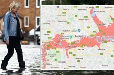 Carte des inondations à Londres : NOUVELLES zones à risque d'inondation à Londres d'ici 2030 alors que la menace climatique s'amplifie