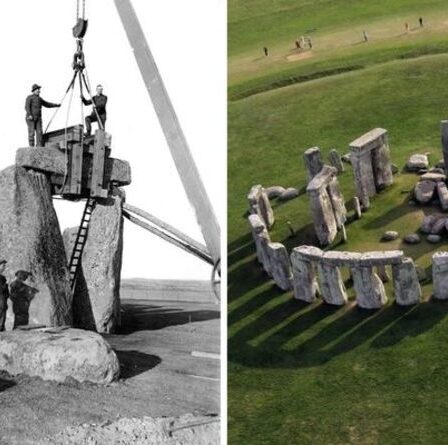 Catastrophe de Stonehenge après qu'un archéologue ait "presque détruit une découverte historique": "Maudissez-le!"