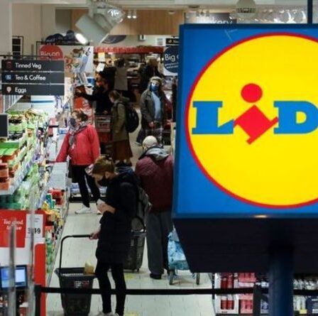 « C'est fantastique » : Lidl coupe un milliard de morceaux de plastique dans les gammes de produits alimentaires – « incroyable »