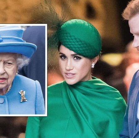 « C'est un champ de mines ! »  La famille royale a émis un avertissement sur Meghan et Harry « imprévisibles »