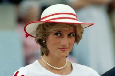 "C'était l'avenir de Diana" La mère de Harry était prête pour un déménagement de style Megxit en Californie