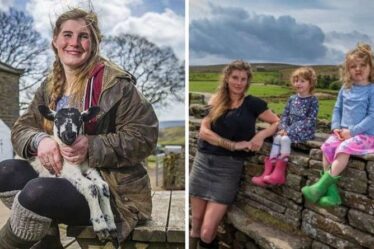 Channel 5 BAN Yorkshire montre malgré le succès de Our Yorkshire Farm d'Amanda Owen