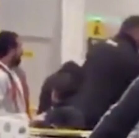 Chaos de verrouillage en Nouvelle-Zélande: des images dramatiques montrent des acheteurs en bagarre pour du papier toilette