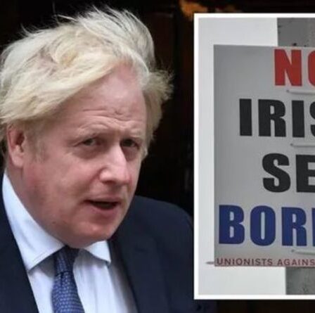 Chaos en Irlande du Nord alors que l'UE a « profité du désarroi britannique » pour imposer un accord « avantageux »