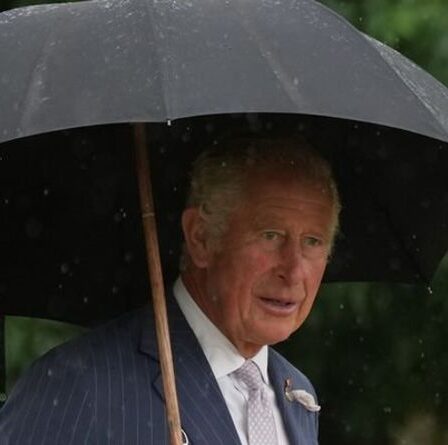 Charles terrifié comme « un problème extraordinairement difficile et insoluble » pour bercer la reine pour toujours