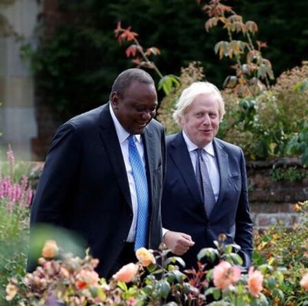 Colère de l'aide étrangère alors que 35 millions de livres sterling ont été envoyés au Kenya pour construire des « maisons vertes abordables »