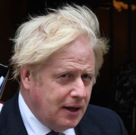 Comment le Brexit pourrait AIDER l'Irlande du Nord à devenir une "puissance" en raison de son "statut unique"