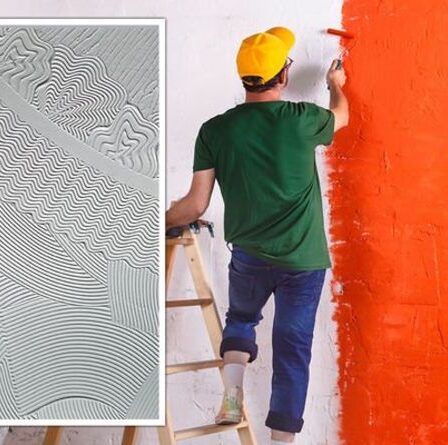 Comment supprimer Artex - les moyens les plus sûrs de mettre à jour votre maison sans ruiner vos murs
