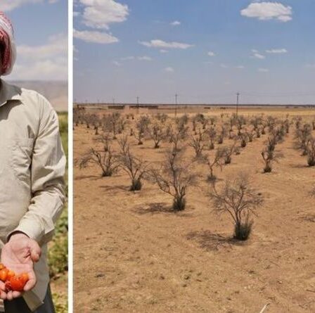 Crise de l'eau en Syrie : une grave urgence liée à l'eau et une sécheresse menaçant 12 millions de vies