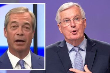 "Croyez-le", Farage reproche à Barnier d'avoir poussé un ticket anti-immigration pour gagner les votes français