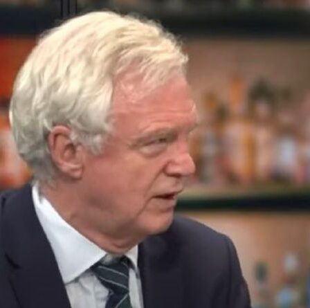 David Davis met en garde Farage UK face à trois années supplémentaires de négociations sur le Brexit « à venir ! »
