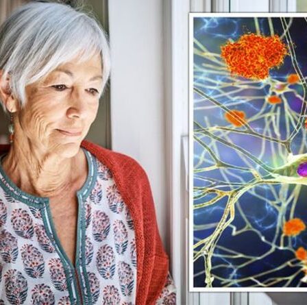 Démence : les chercheurs « résolvent l'énigme d'une décennie » dans une nouvelle étape majeure vers la prévention des maladies