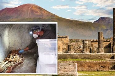 Des experts de Pompéi époustouflés par la découverte étonnante des «restes les mieux préservés jamais trouvés»