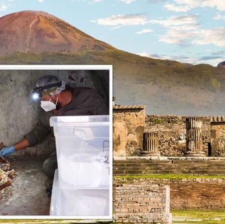 Des experts de Pompéi époustouflés par la découverte étonnante des «restes les mieux préservés jamais trouvés»