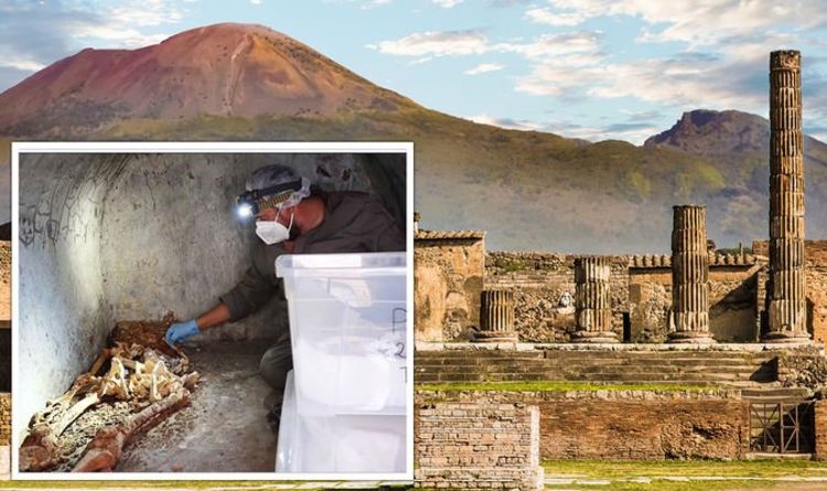 Des experts de Pompéi époustouflés par la découverte étonnante des «restes les mieux préservés jamais trouvés»