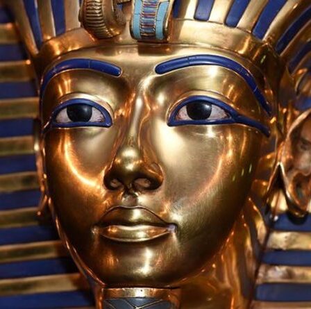 Des experts égyptiens dans un débat acharné après la découverte d'une « caractéristique négligée » du masque de Toutankhamon