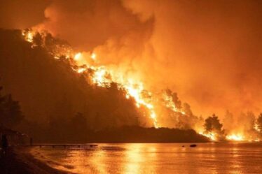 Des incendies de forêt «apocalyptiques» ravagent la Grèce alors que des images terrifiantes montrent toute l'île en flammes