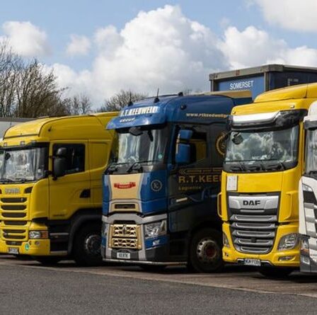 « Des problèmes liés au Brexit se révèlent ! »  Les transporteurs avertissent qu'une "tempête parfaite" menace la chaîne d'approvisionnement britannique