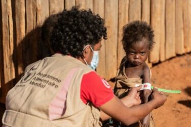Des villages malgaches "au seuil de la mort" dans la "famine liée au changement climatique" - L'ONU émet un avertissement