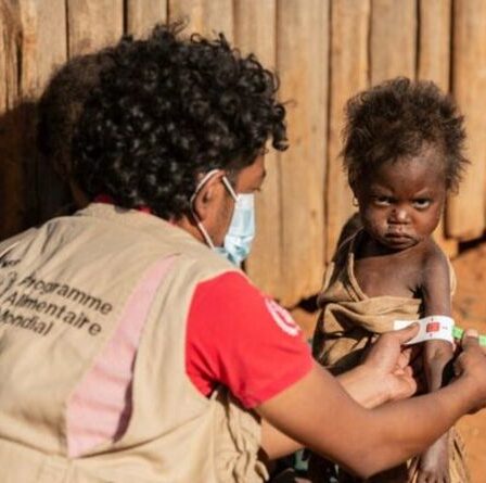 Des villages malgaches "au seuil de la mort" dans la "famine liée au changement climatique" - L'ONU émet un avertissement