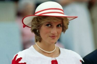 Diana chagrine en tant que princesse « rejetée du glamour » à la fin : « Essayé de faire la différence »