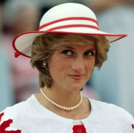 Diana chagrine en tant que princesse « rejetée du glamour » à la fin : « Essayé de faire la différence »