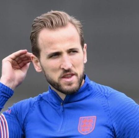 Dimitar Berbatov qualifie Harry Kane de "naïf" alors que Man City se prépare à répondre à la demande de Tottenham
