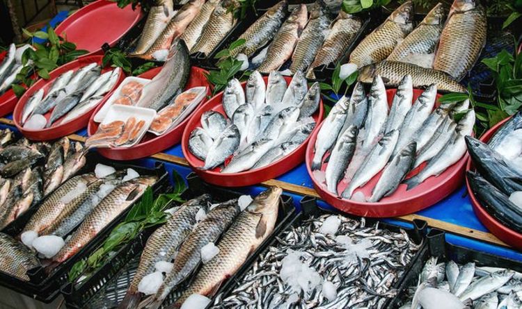 Doomsday du poisson: les anchois, les harengs et les sardines sont menacés d'extinction - un terrible avertissement a été émis