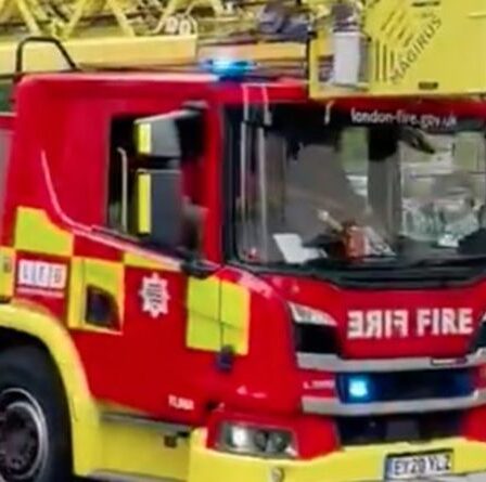 Dorchester on FIRE: un hôtel de luxe évacué «en quelques minutes» – les services d'urgence se précipitent pour flamber