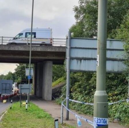 Enquête sur le meurtre de Guildford alors que le corps d'une femme a été retrouvé sur A3 – la police a mis en place une équipe de lutte contre les crimes majeurs