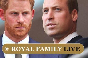 Famille royale EN DIRECT: Harry et William se brisent en tant que frères pour marquer une étape tragique à part
