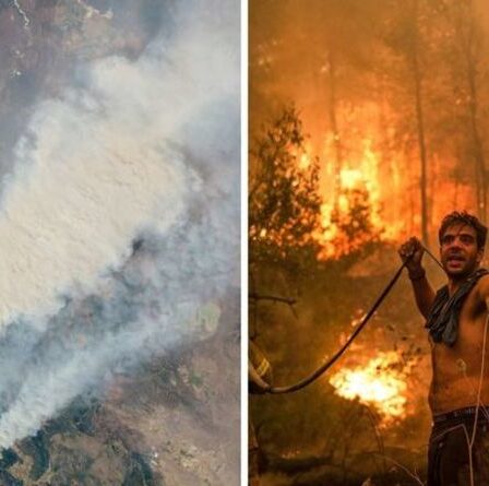 Feux de forêt MAPPED - chaque incendie fait rage à travers le monde en ce moment dans une crise majeure