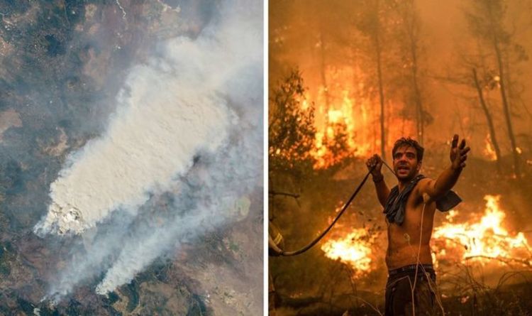 Feux de forêt MAPPED - chaque incendie fait rage à travers le monde en ce moment dans une crise majeure