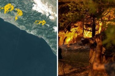 Feux de forêt cartographiés : d'énormes feux de forêt brûlent en Grèce, en Turquie et en Italie - MAPS