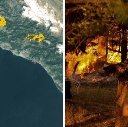 Feux de forêt cartographiés : d'énormes feux de forêt brûlent en Grèce, en Turquie et en Italie - MAPS