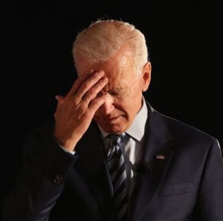 Gaffe de Biden: le président américain dit que "350 millions d'Américains" ont été piégés - 20 millions de plus que l'ensemble de la population
