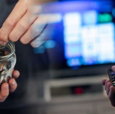 Gratuit aujourd'hui: vous pouvez diffuser des films et des séries télévisées via Filmzie sans frais - tous les détails