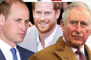 Harry et Meghan « bouleversent » la famille royale car « inquiets » William et Charles « ne leur font pas confiance »