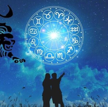 Horoscope amoureux du Lion : aperçu des relations 2021 pour le signe astrologique du Lion - signes du zodiaque compatibles