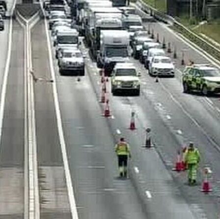 Horreur M1: deux enfants de 4 et 10 ans, tués dans un accident de « conduite en état d'ivresse » entre une voiture et un camion