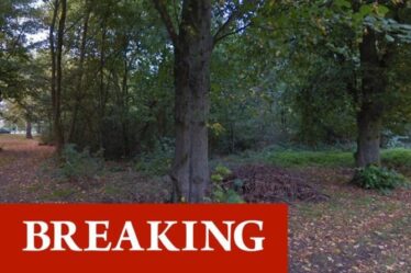 Horreur du viol à Londres: la police émet un avertissement urgent alors qu'un homme est attaqué dans les bois à Clapham Common