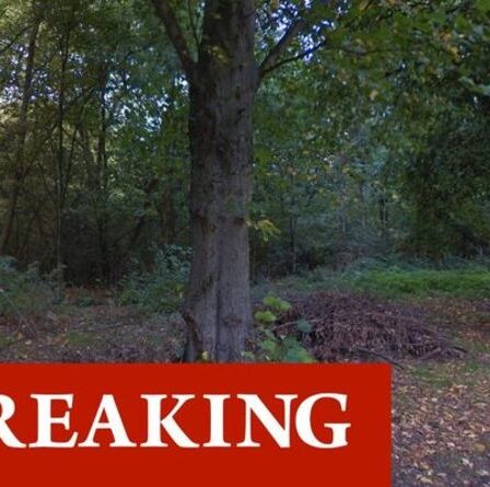 Horreur du viol à Londres: la police émet un avertissement urgent alors qu'un homme est attaqué dans les bois à Clapham Common