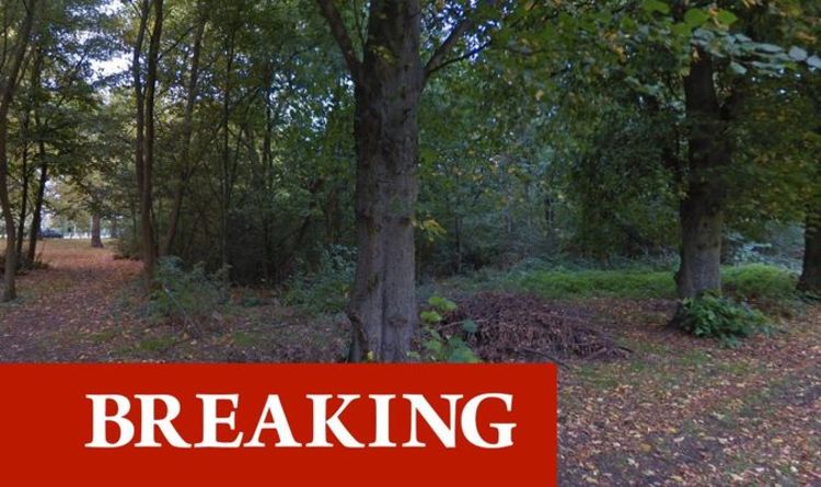 Horreur du viol à Londres: la police émet un avertissement urgent alors qu'un homme est attaqué dans les bois à Clapham Common