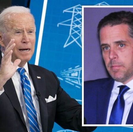 Hunter Biden affirme que «les Russes ont des vidéos de lui» alors qu'il admet le vol d'un troisième ordinateur portable