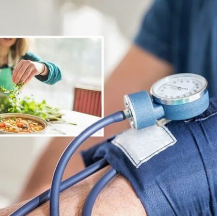 Hypertension artérielle : l'herbe « supérieure » ​​pour abaisser une lecture d'hypertension artérielle