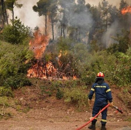 Incendie de l'ancienne Olympie: les dernières cartes alors que les incendies font rage près du lieu de naissance des Jeux olympiques
