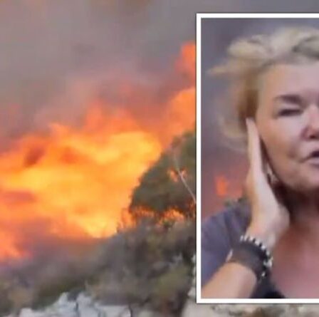 Incendie en Turquie: un journaliste de Sky News a «écourté» l'émission pour fuir l'enfer menaçant – VOIR