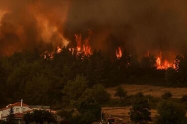Incendies en Grèce: Inferno continue de faire rage alors qu'un pompier perd la vie - les habitants fuient
